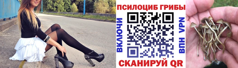 Галлюциногенные грибы GOLDEN TEACHER  дарнет шоп  Удачный 